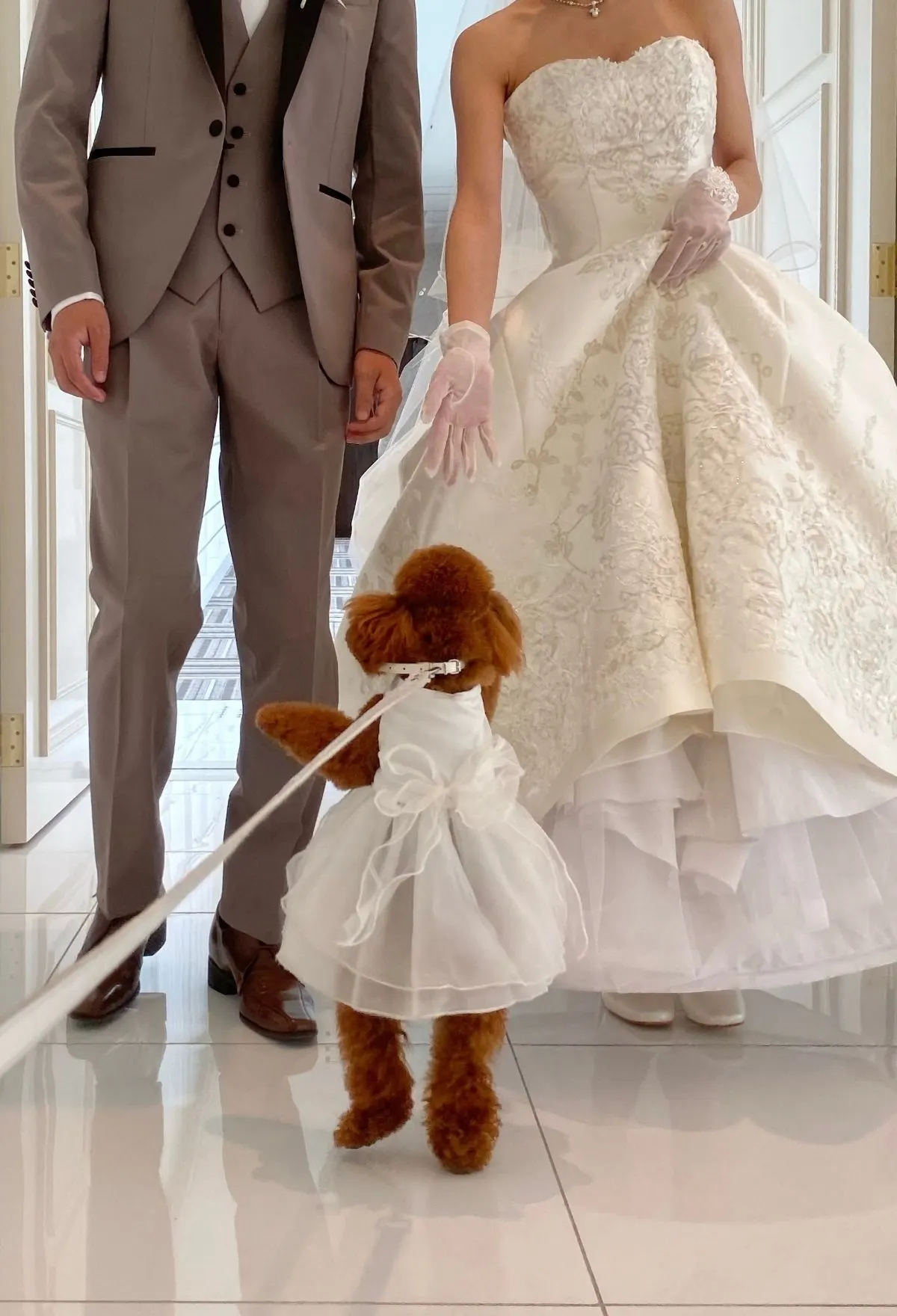 新郎新婦と愛犬